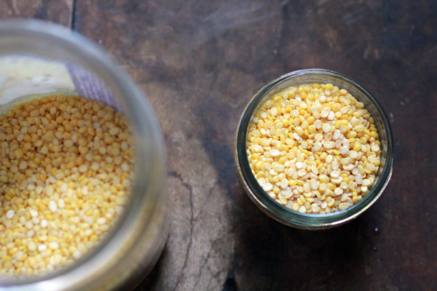 moong dal, yellow lentils, split yellow gram