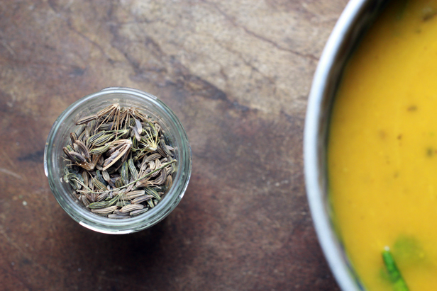 fennel seeds