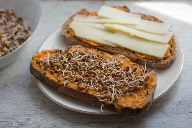 Sprouted Horse Gram, Cheddar and Hummus Sandwich