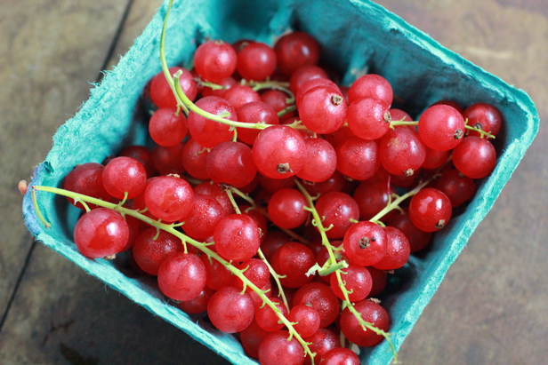 Red Currants