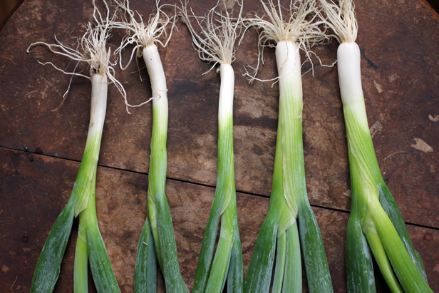 Green scallions