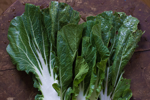 large bok choy