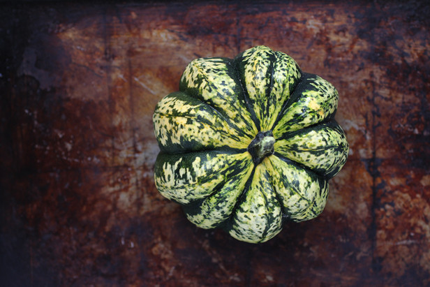 acorn squash