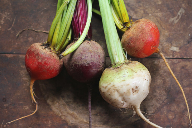 beets from the Greenmarket