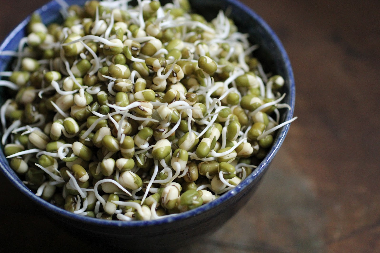 Salad Bowl with Roti and Mung Beans 