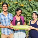 An Indian Vegetable Grows in Brooklyn
