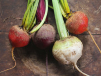 beets from the Greenmarket